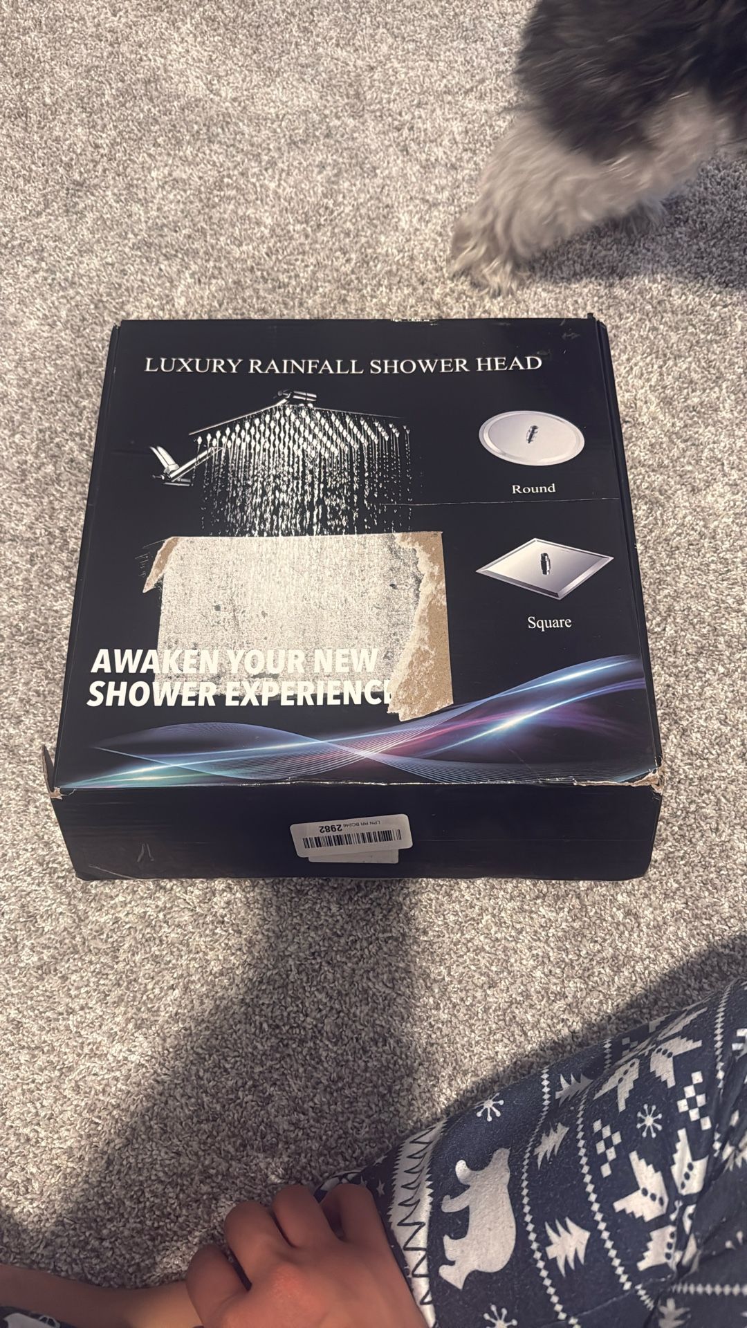 Luxury Rainfall Shower Head