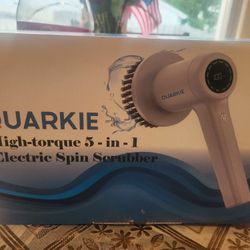 Electric Sping Scrubber