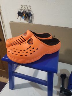 Official beavers step ins