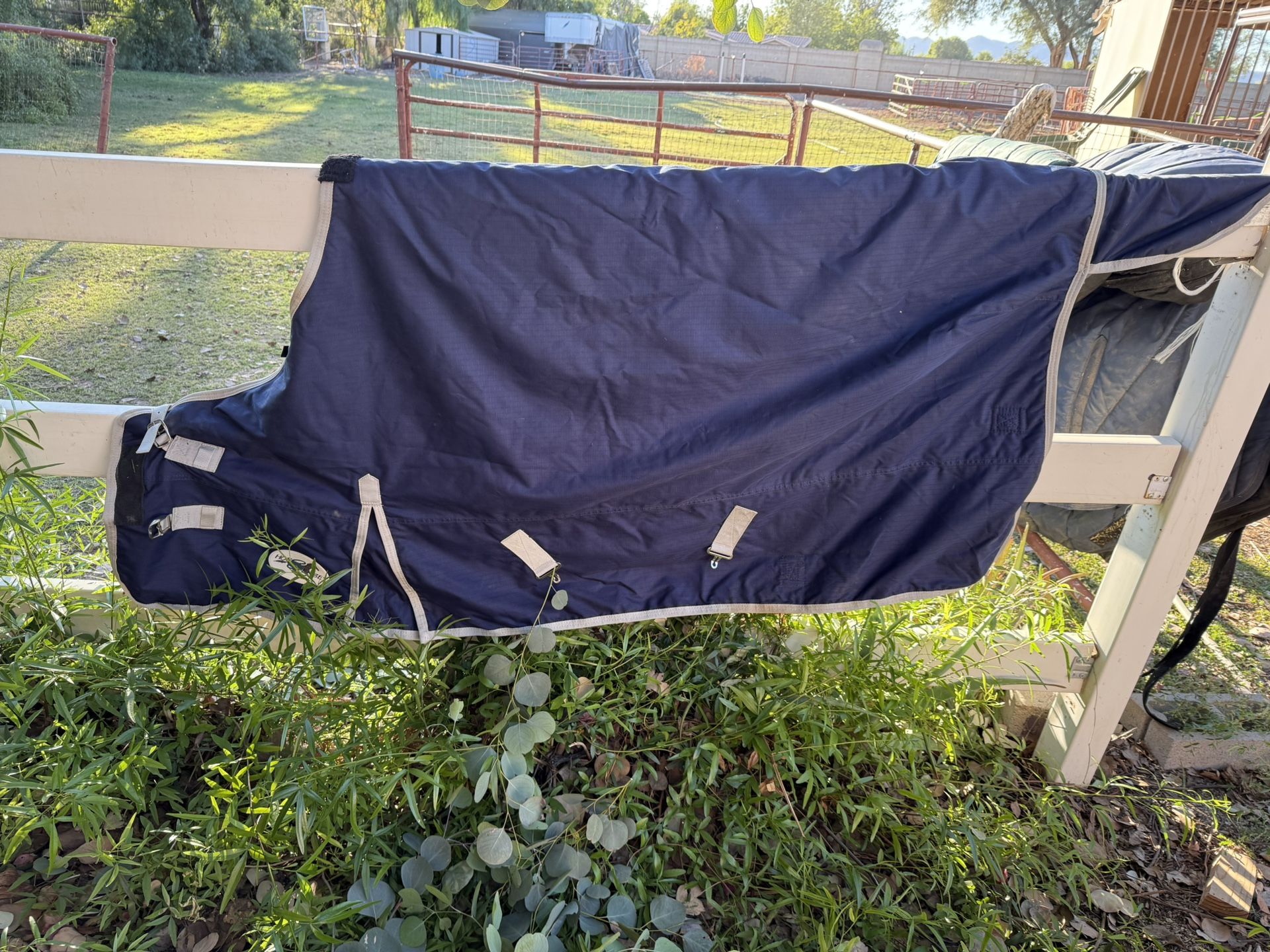 Horse Blanket