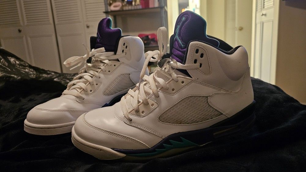 JORDAN RETRO 5 GRAPES π
