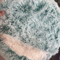 Cat Beds