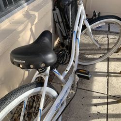 Schwinn Beach Cruiser