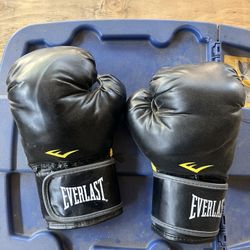 Everlast Boxing Gloves