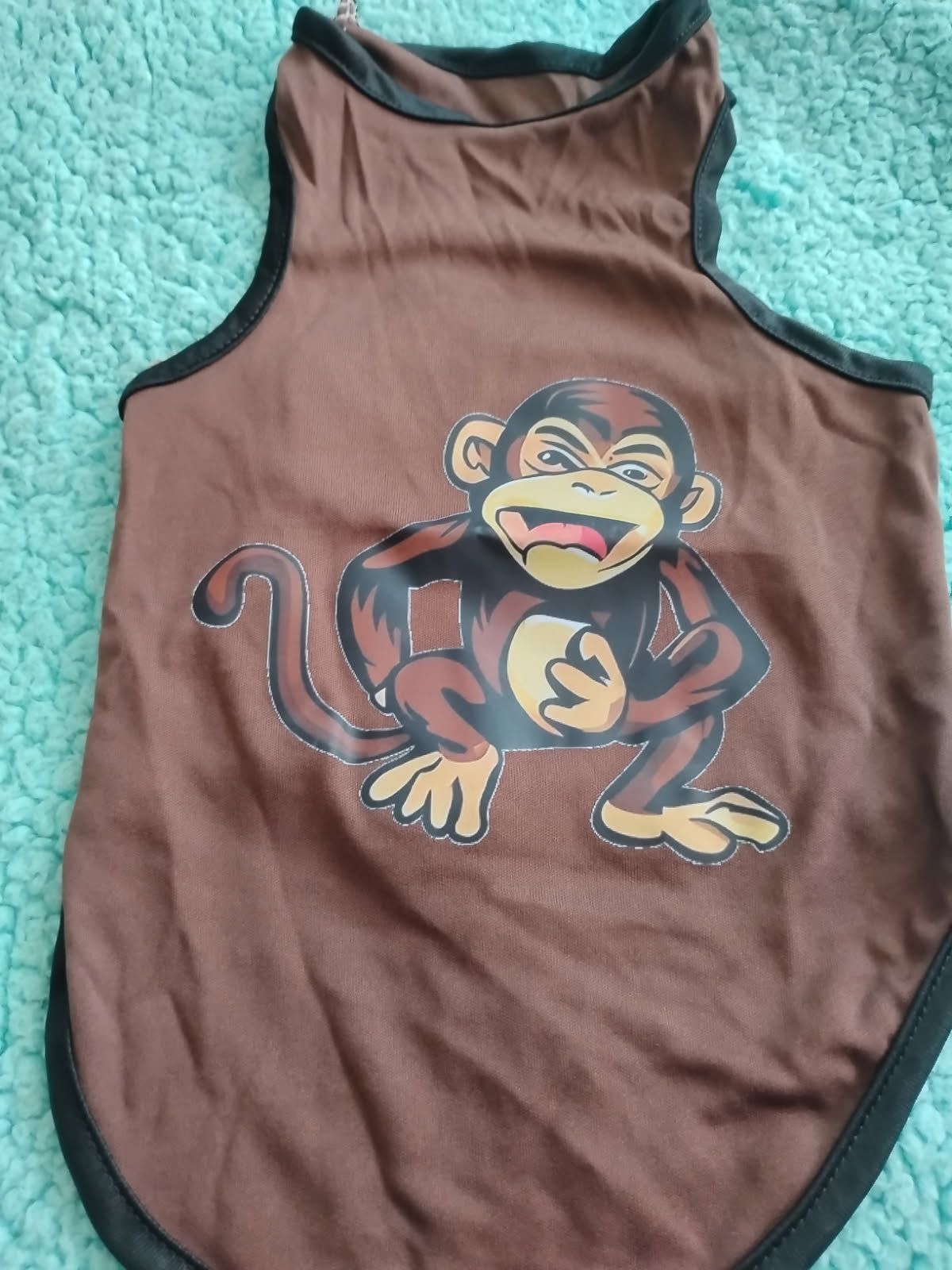 Pet Clothes