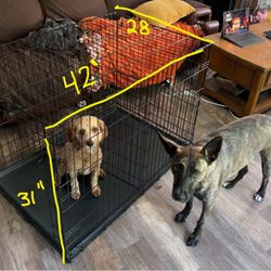 XL Dog Kennel