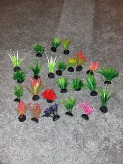 Fish Bowl Aquarium Plants