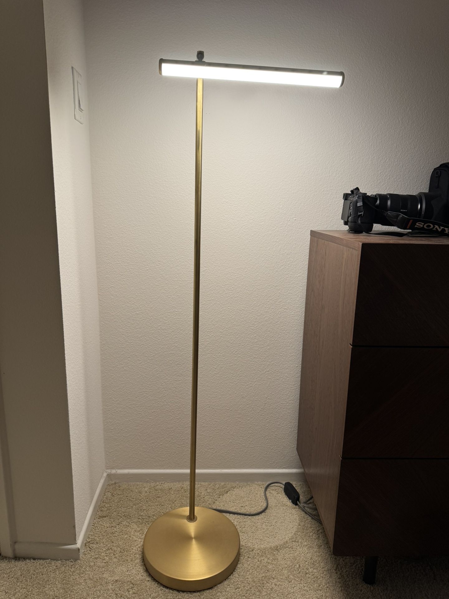 Gold Light Rod Floor Lamp