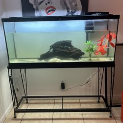 Fish Tank Aquarium 55 Gallon $100 