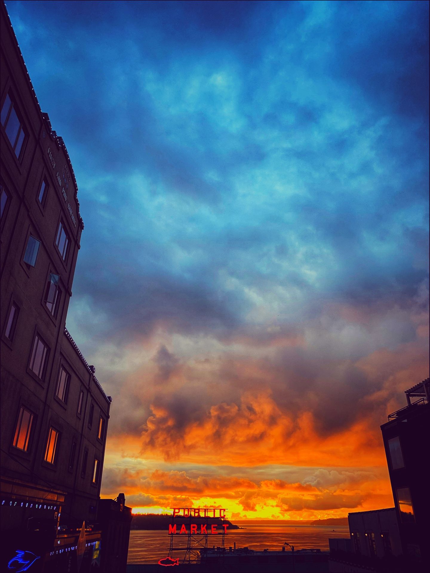 Welcome to Seattle by Matt LaCross