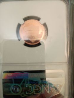 2026, penny
