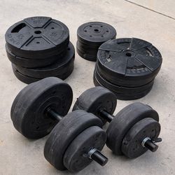 Golds Gym Weider 15lbs plates/ adjustable dumbbells