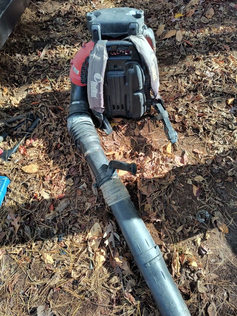 RedMax EBZ8500 Leaf Blower