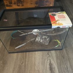 Reptile Terrarium 