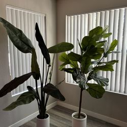 artificial/fake indoor plants