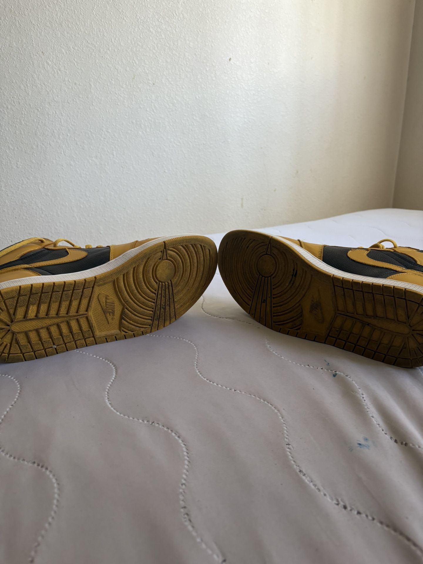 Jordan 1 Pollen Sz 13