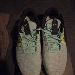 Green Nikes Mens Size 13