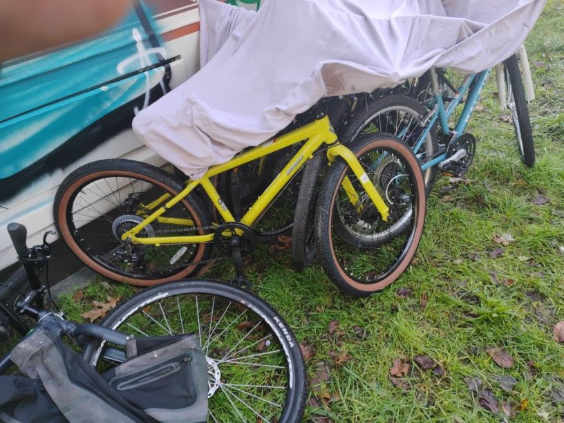 A Diamondback