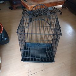 Black Bird Cage