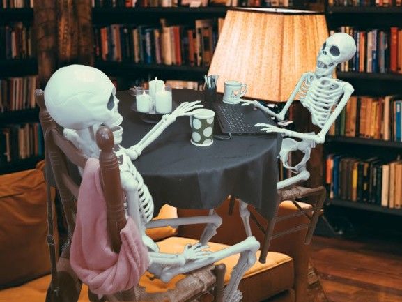 Life Size Possible Skeleton $20
