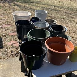 Flower Pot Lot