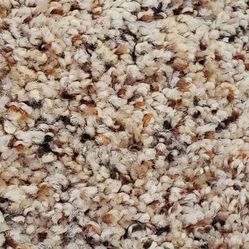Brand New Carpet For Sale! 
