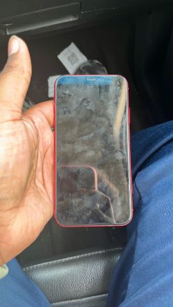 iPhone XR