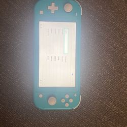 Nintendo Switch Lite