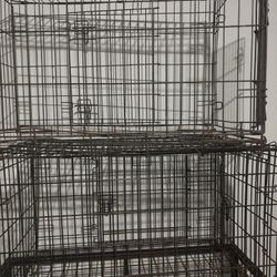 dog cage