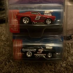 Dale Earnhardt And Dale Earnhardt Jr muscle Machines