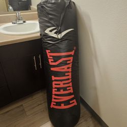 Punching Bag $35