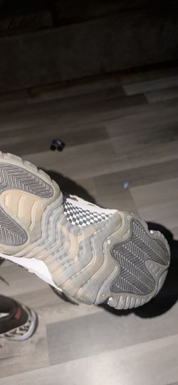 Animal Insect Jordan 11