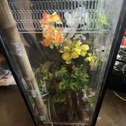 20 Gallon Tall Reptile Enclosure