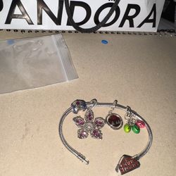Pandora Stranger Things bracelet With Charms 