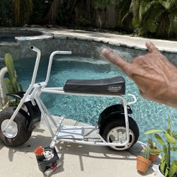 * BUILDERS DREAM! * - Custom Painted Doodle Bug Mini Bike (Priced To Sell FAST!) 