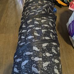 Cat Tunnel