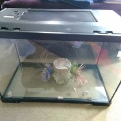 Aquarium With Lock Lid & 1 acessory