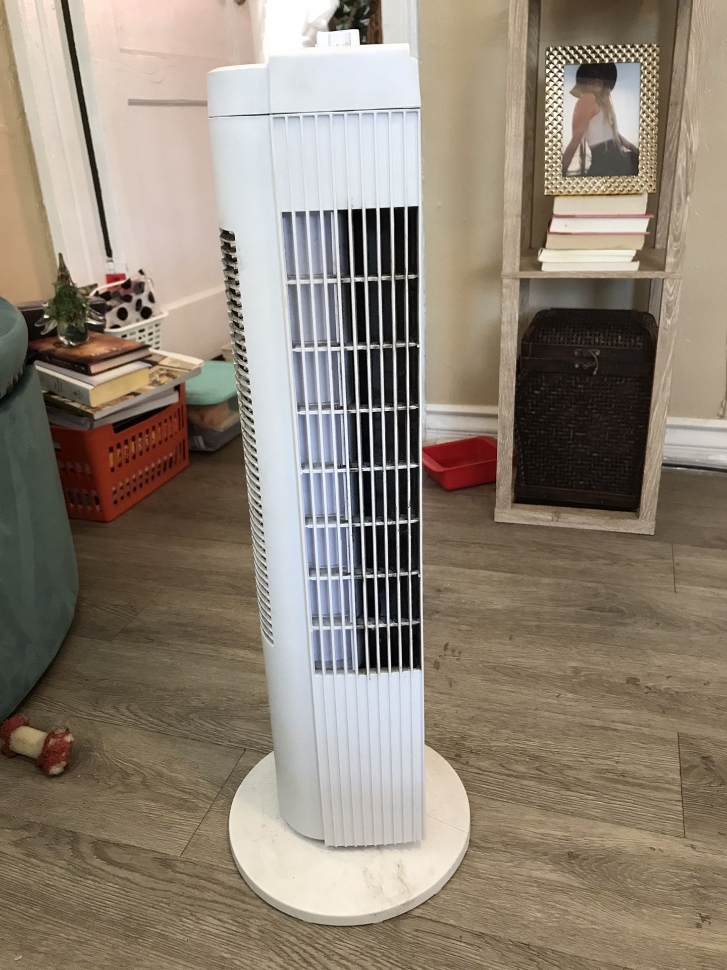 White oscillating fan