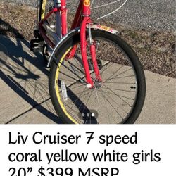 Ladies Liv Cruiser 7 Speed - Priced To Sell