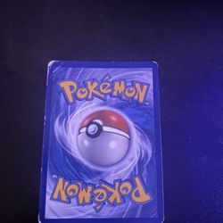 Venusaur & Snivy 