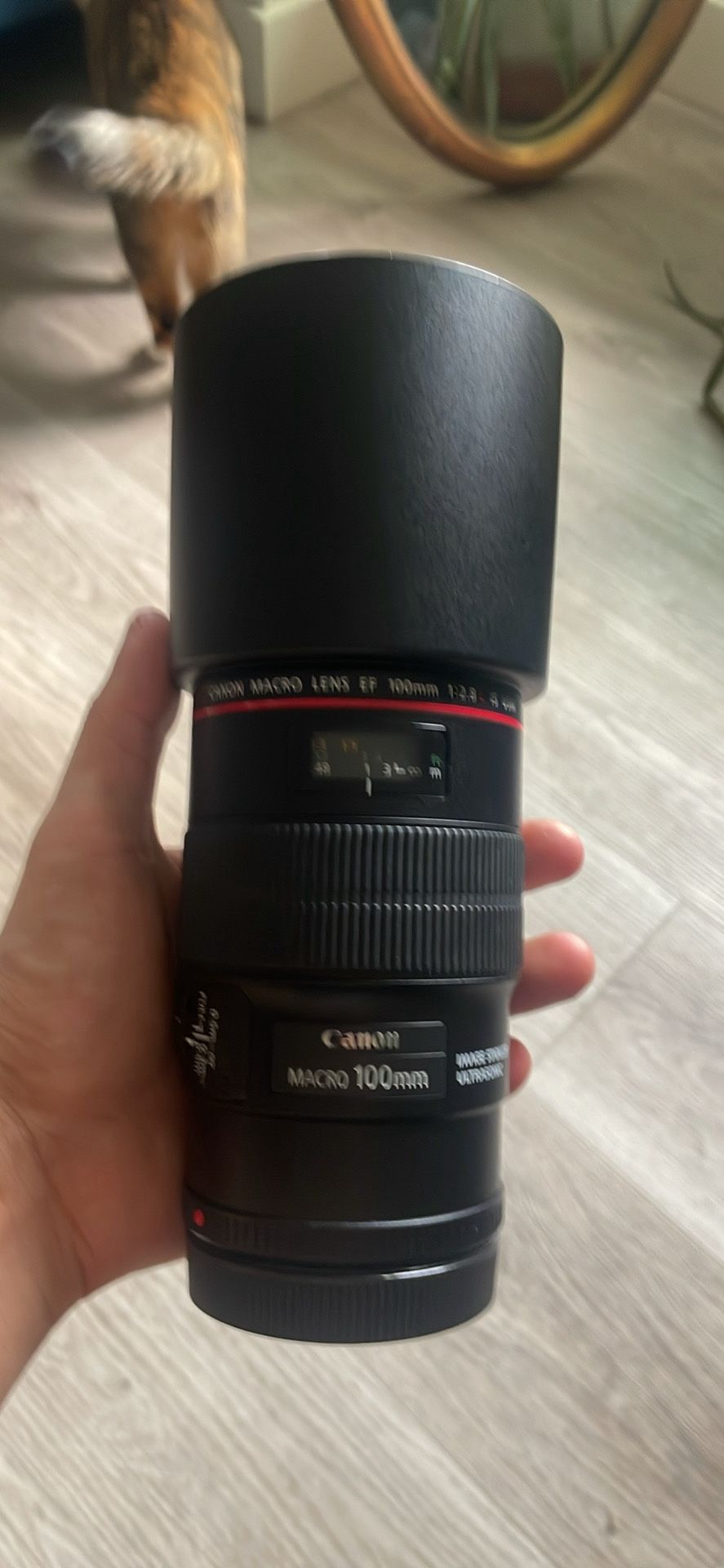 Canon 100mm EF macro lens f2.8 L IS USM