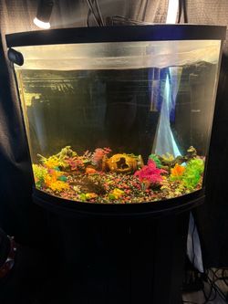 Fish tank