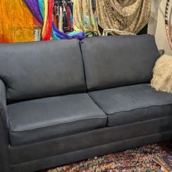Sleeper Sofa 