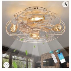 HUEOCZW 21’’ Caged Ceiling Fan with Lights Remote Control