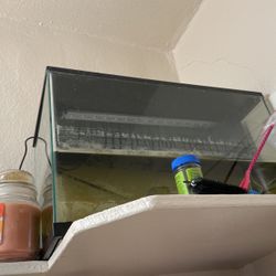 Fish Tank $25