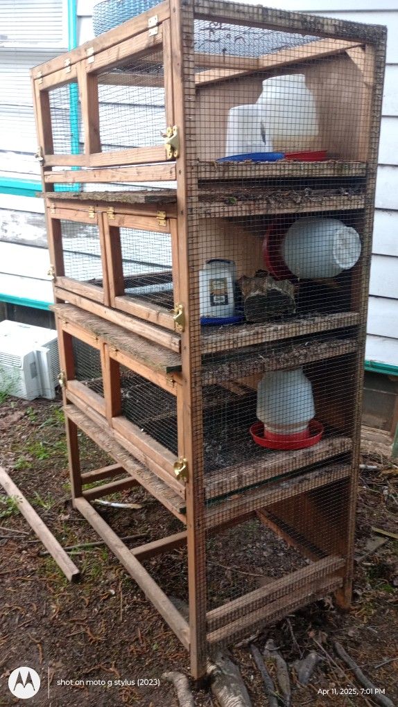 Chicken Coop