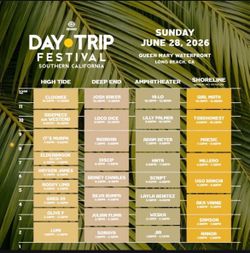 Day Trip Festival 2 day ticket