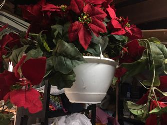 Decoration