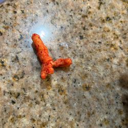 dih cheeto