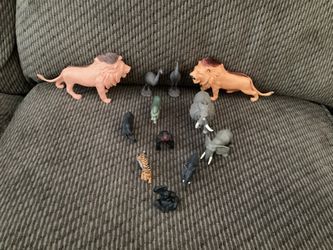 Zoo Animals